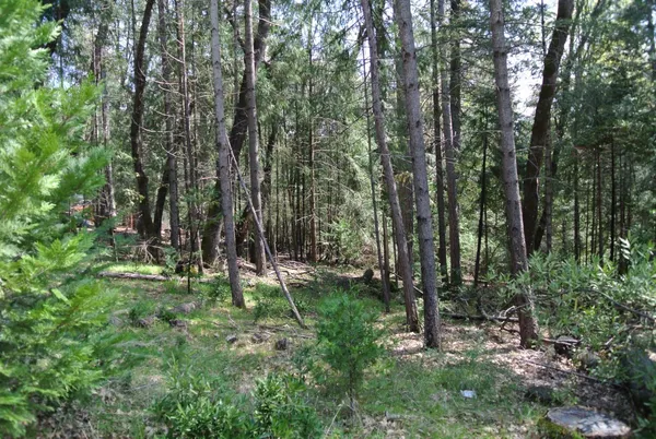 a view of a park