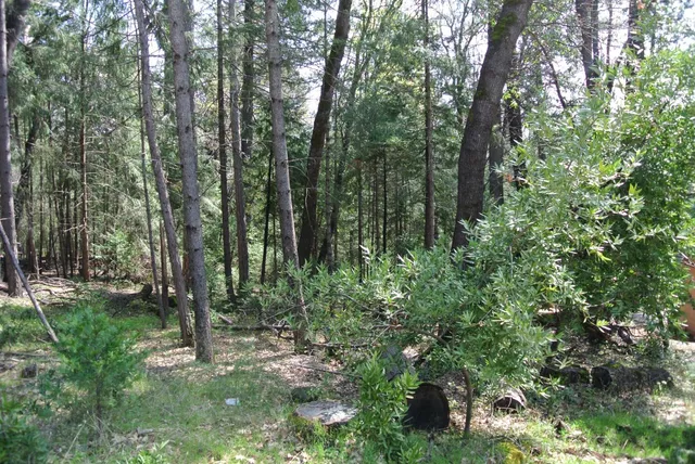 a backyard of a house with lots of green space
