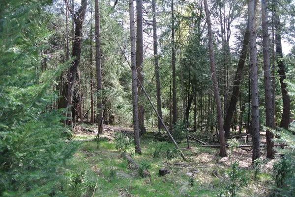 a view of outdoor space and green space