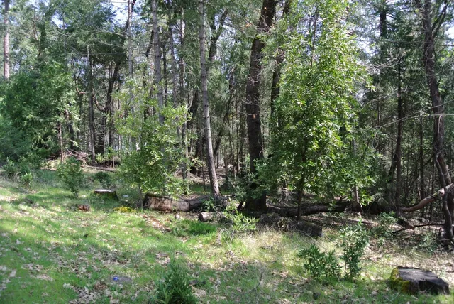 a view of outdoor space and garden