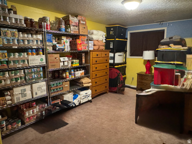 655 North 8th East Preston, ID 83263 - Photo 23 of 32 View of storage room