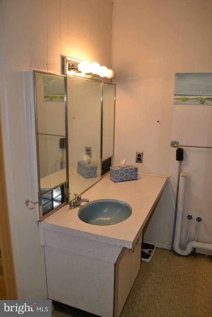 1005 Dunblane Road Baltimore, MD 21286 - Photo 19 of 30 Bath Master