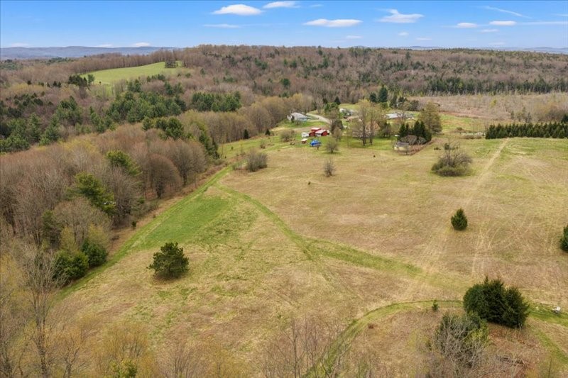 355 Sprague Road Afton, NY 13730 - Photo 5 of 47 Gallery Image 5