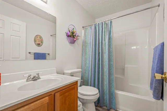 a bathroom with a sink a toilet and shower curtain