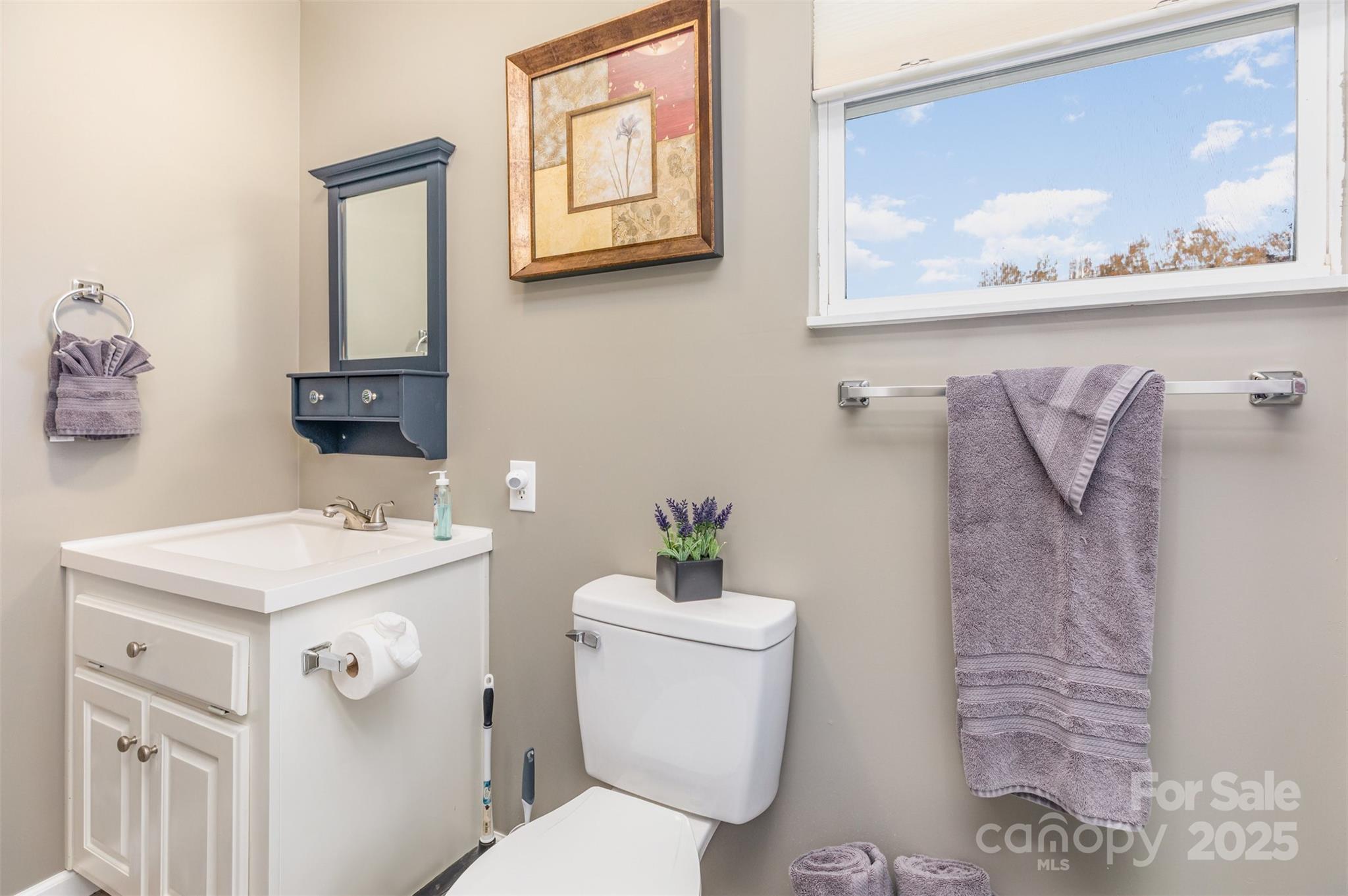 2241 Indian Cross Trail Matthews, NC 28104 - Photo 35 of 46 a bathroom with a sink a toilet and mirror