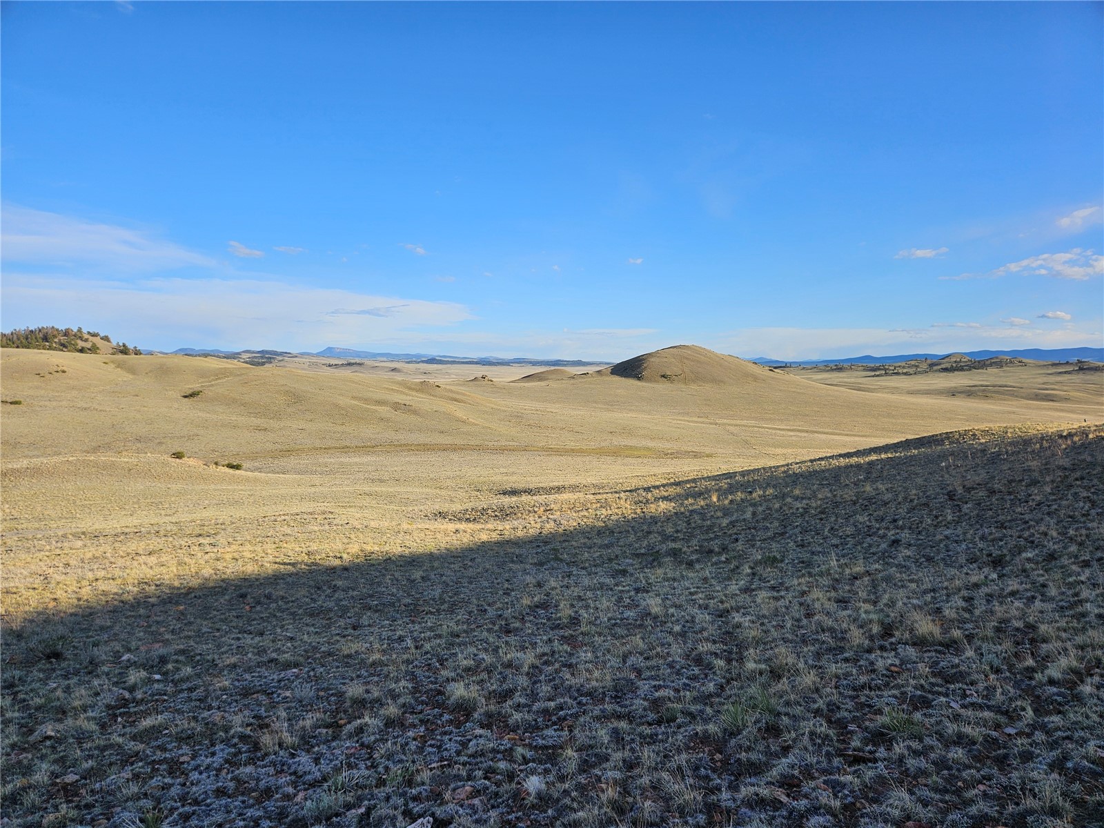Pcs#24142 Antero Road Hartsel, CO 80449 - Photo 44 of 50