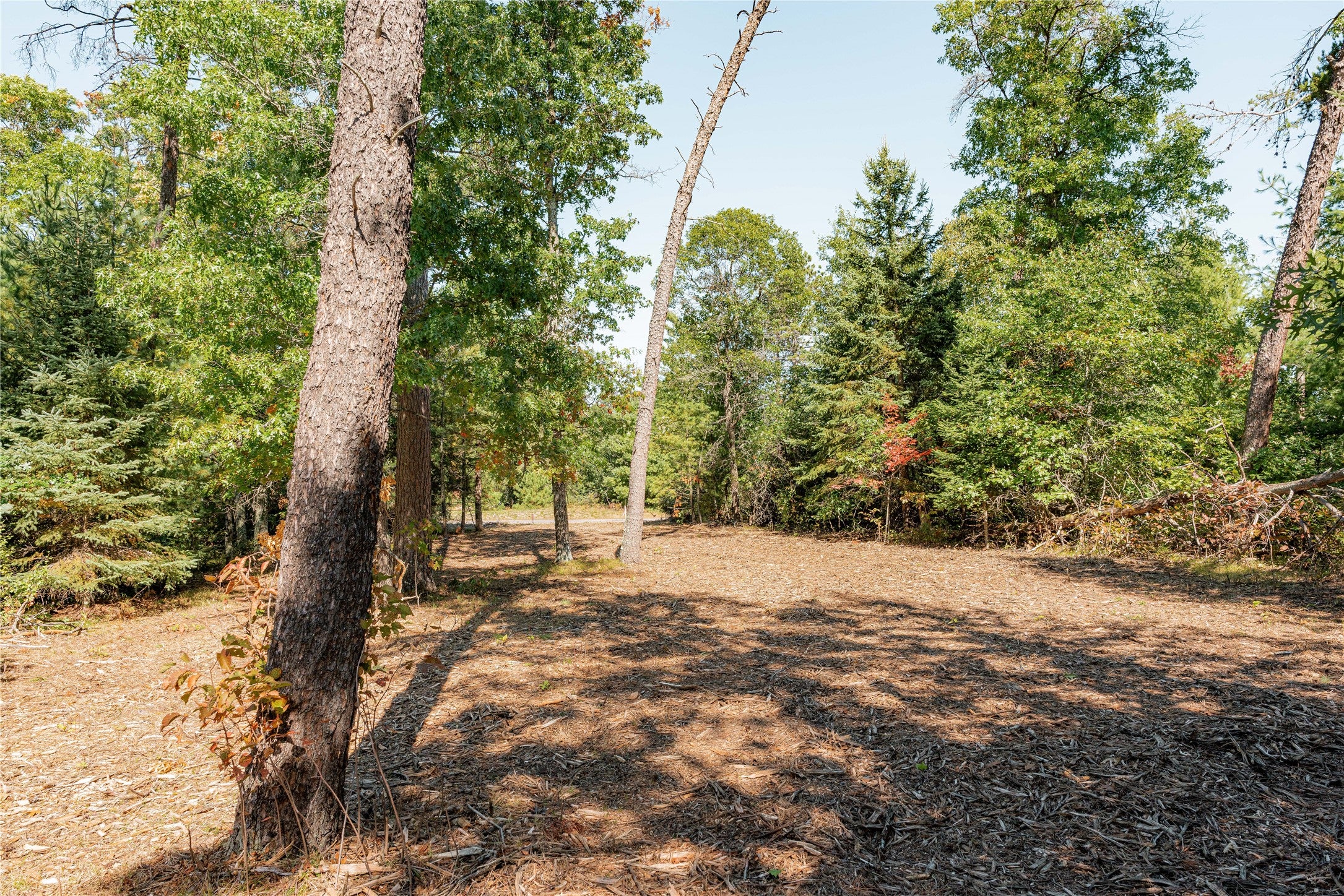 0 County Rd T Minong, WI 54859 - Photo 12 of 12 Gallery Image 12