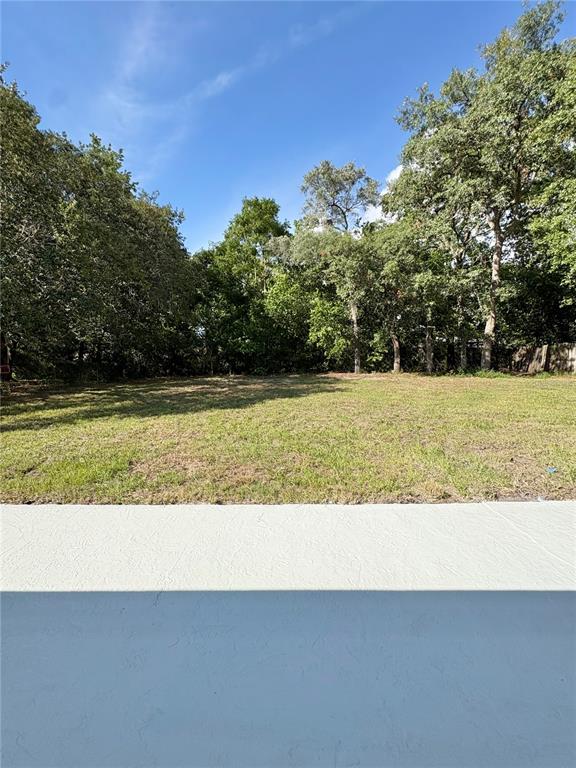 142 Rosedale Avenue Spring Hill, FL 34606 - Photo 37 of 63