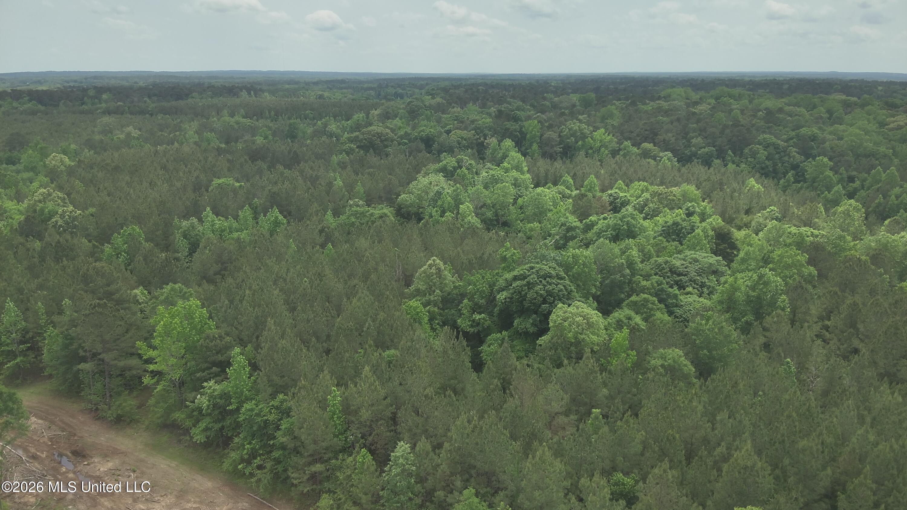 559 Smith County Road Pulaski, MS 39152 - Photo 16 of 32 DJI_20260427132426_0046_V
