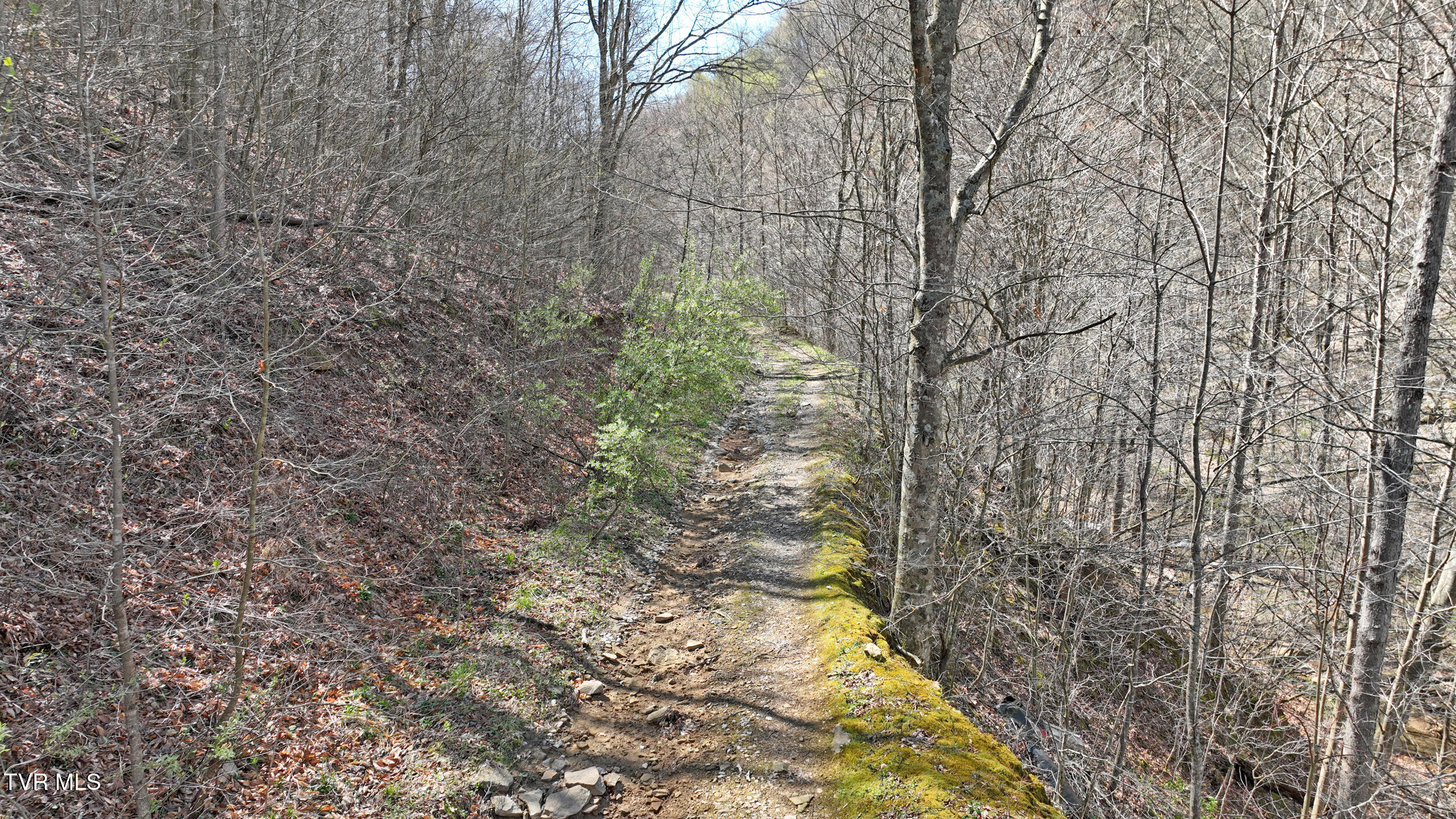 0 Guesses Fork Road Hurley, VA 24620 - Photo 12 of 31 IMG_7480