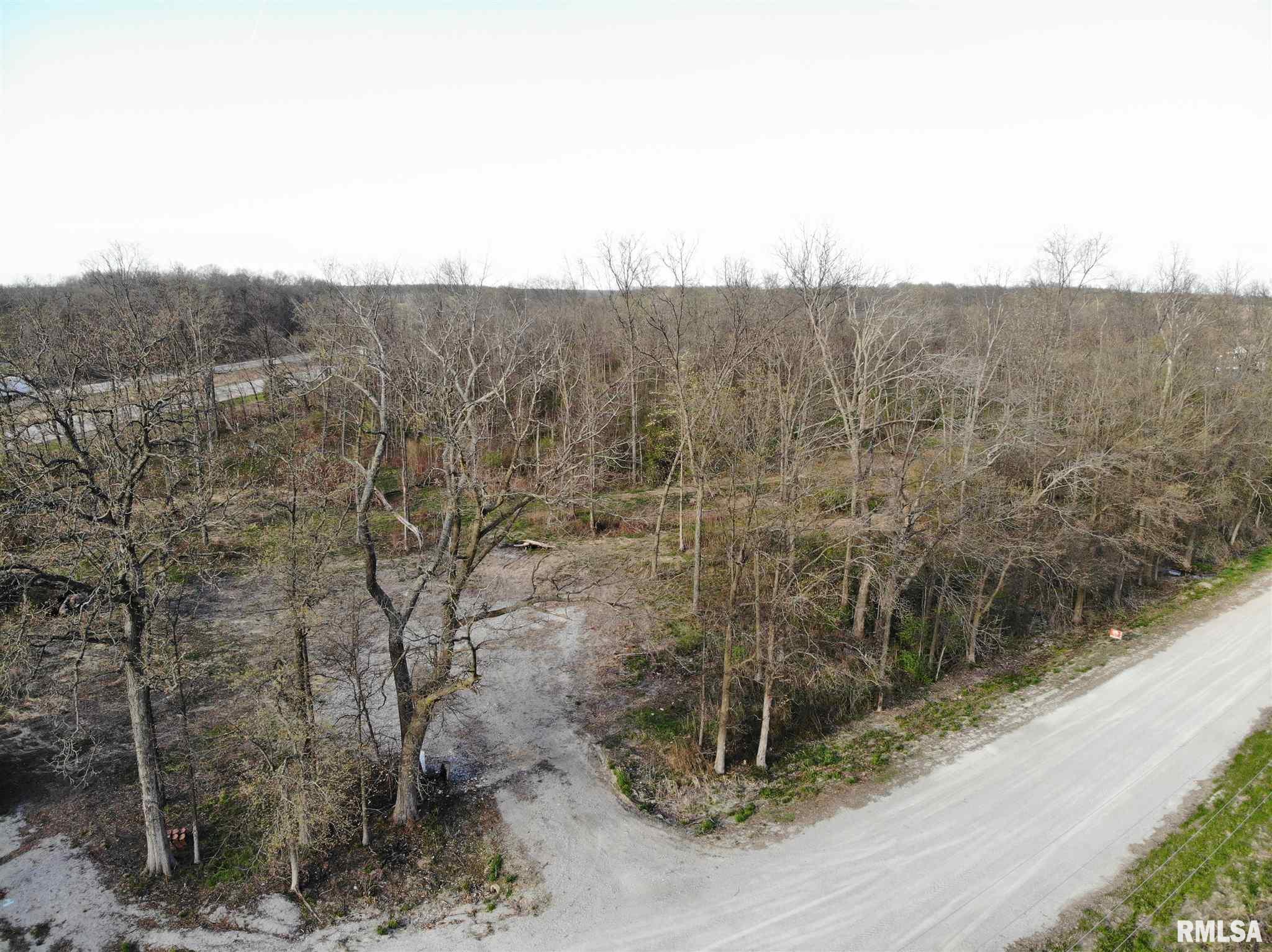 0 Alma Hatchery Road Alma, IL 62807 - Photo 9 of 9