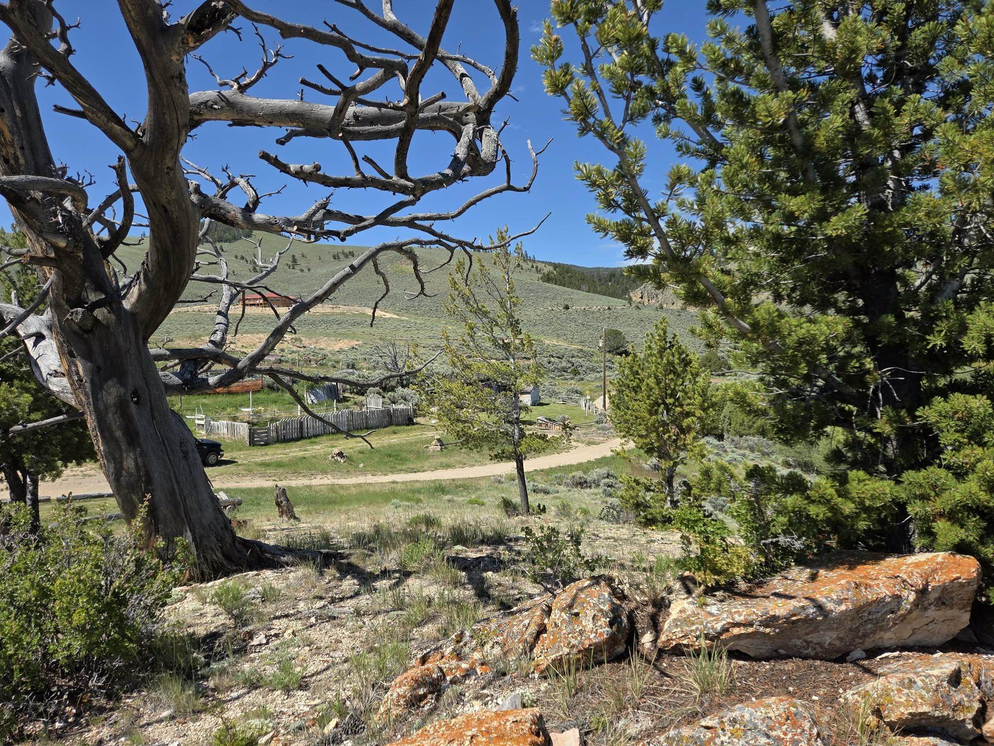 183 Bald Mountain Road Dubois, WY 82513 - Photo 10 of 48