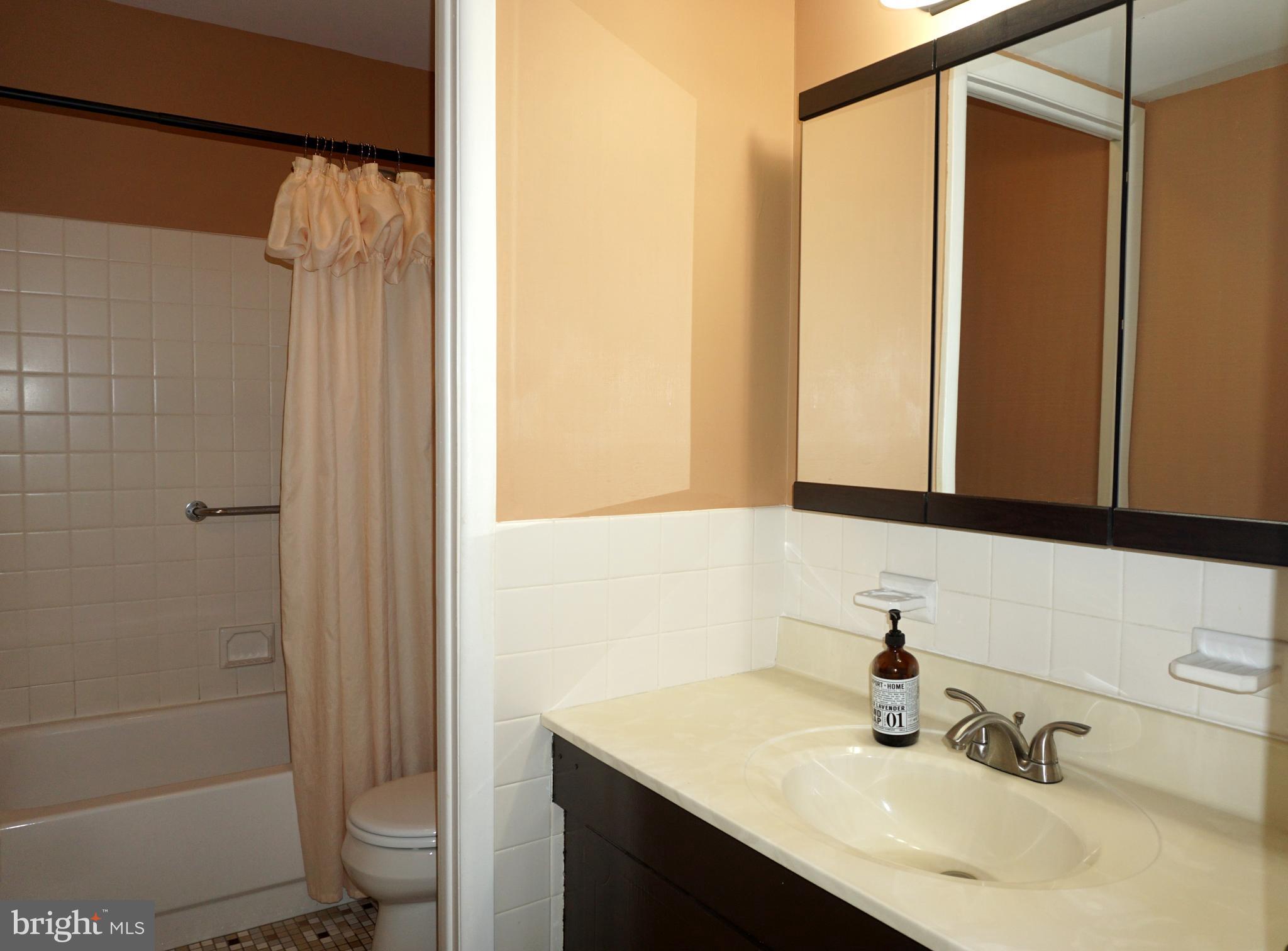 2834 Springhaven Place Macungie, PA 18062 - Photo 15 of 19 a bathroom with a sink and a mirror