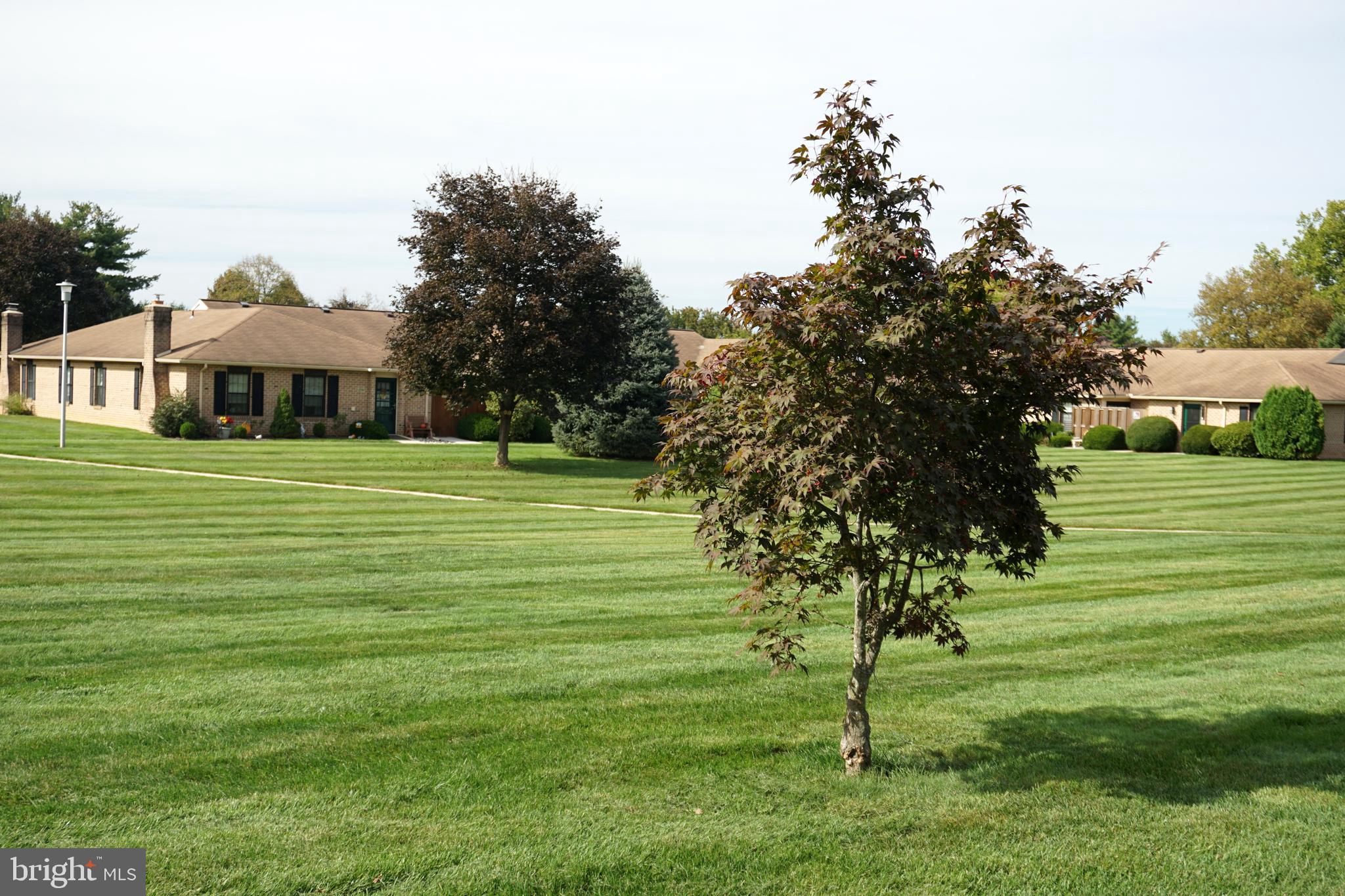 2834 Springhaven Place Macungie, PA 18062 - Photo 19 of 19 a front view of a house with a yard