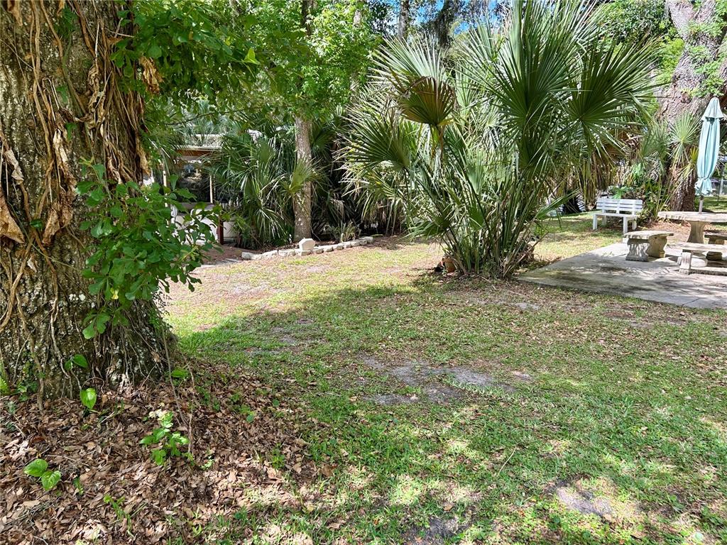 25646 Bass Road Astor, FL 32102 - Photo 39 of 48 a view of yard with green space