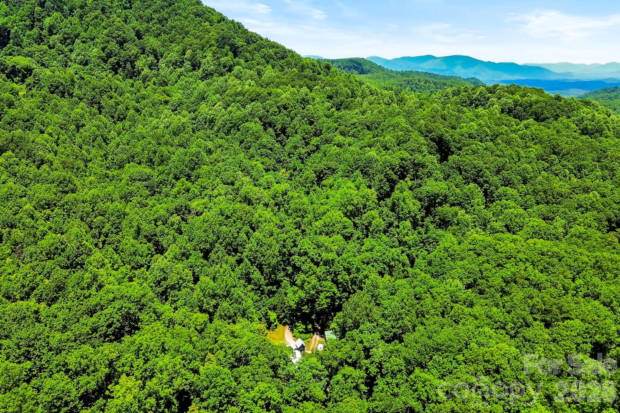 173 Camp Elliot Road Black Mountain, NC 28711 - Photo 41 of 41