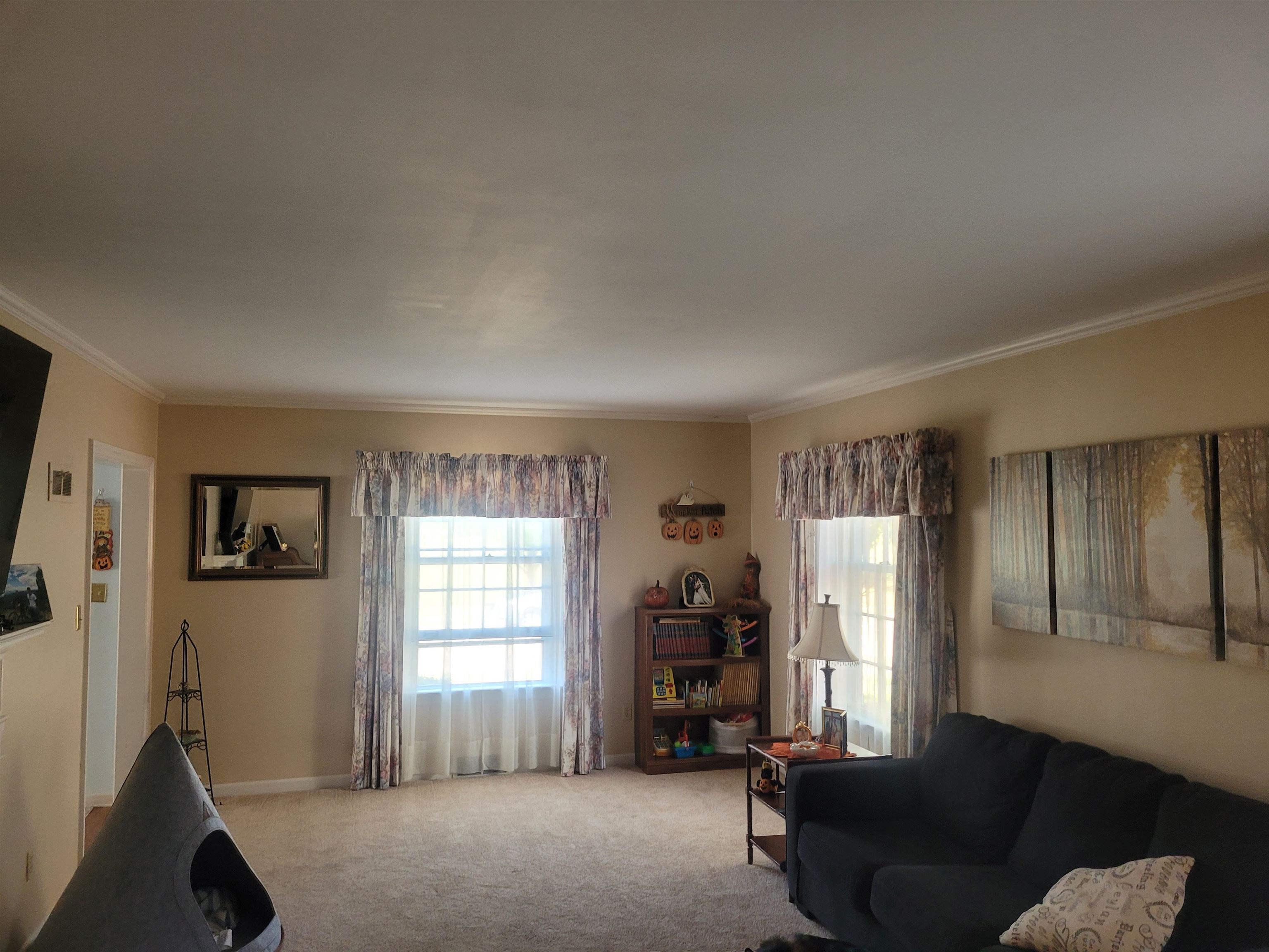 509 West 14th Street Sterling, IL 61081 - Photo 36 of 70 a living room with furniture and a window