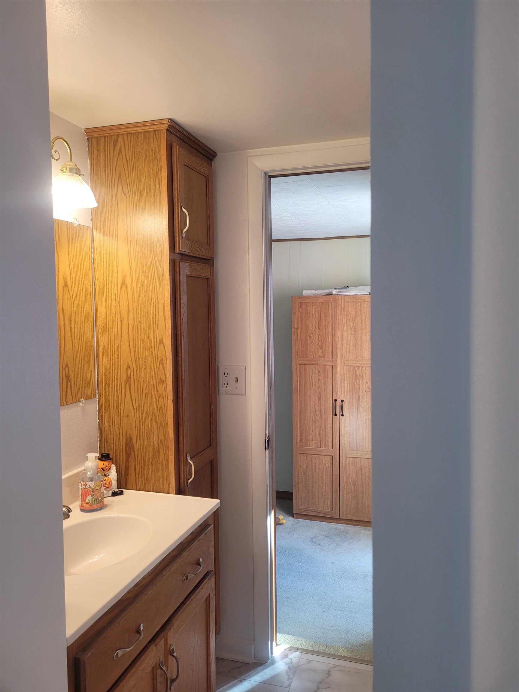 509 West 14th Street Sterling, IL 61081 - Photo 43 of 70 a bathroom with a granite countertop sink and a mirror