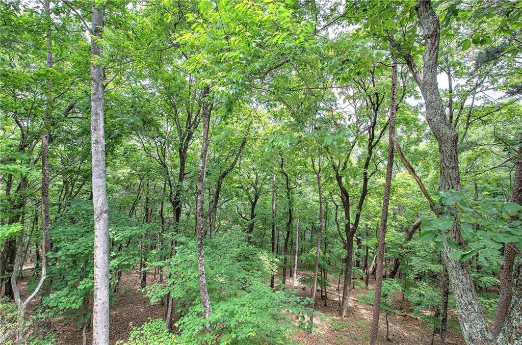 214 South View Trail Jasper, GA 30143 - Photo 30 of 72