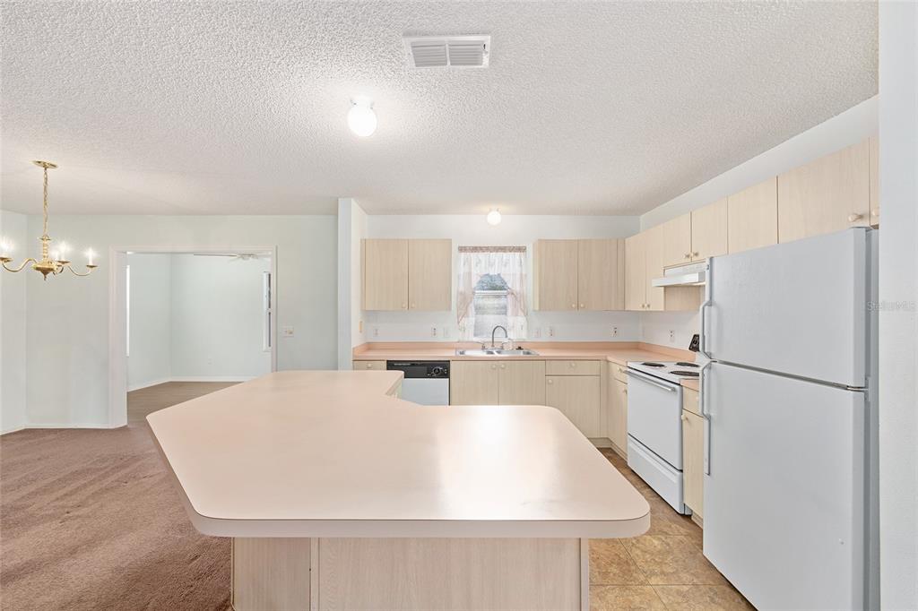 1508 Yucatan Way The Villages, FL 32159 - Photo 10 of 21