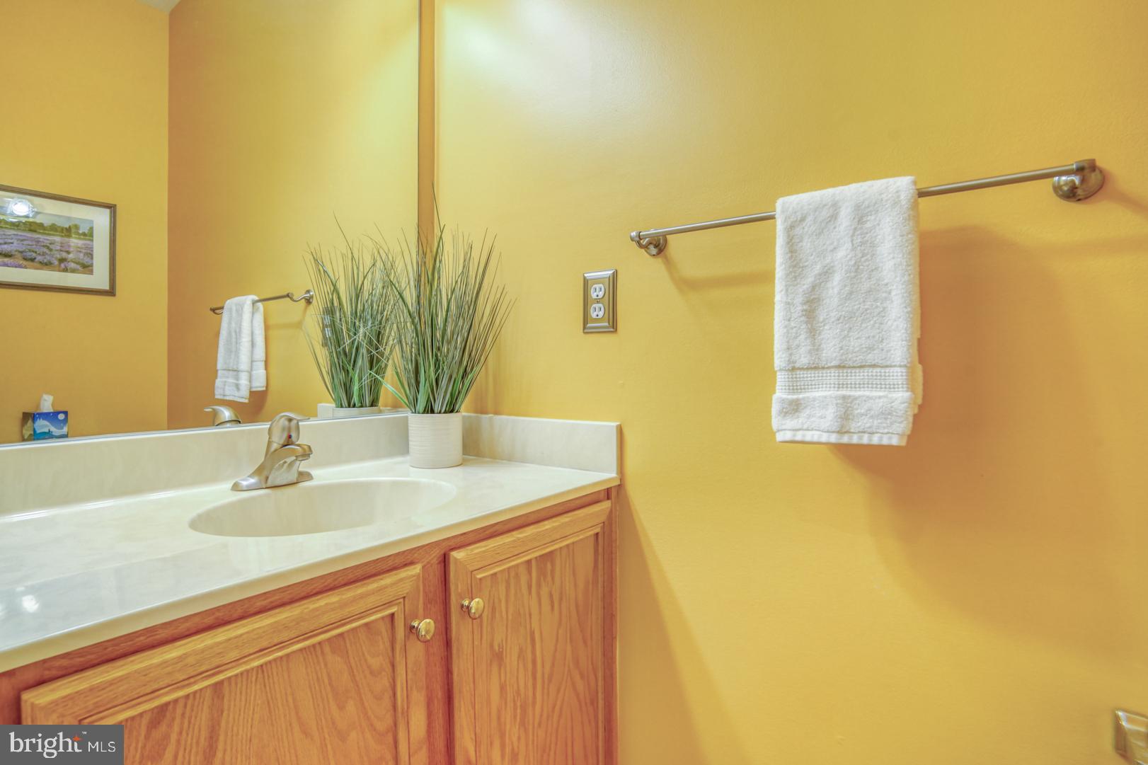 612 Sandy's Parish Road Landenberg, PA 19350 - Photo 24 of 49 a bathroom with a sink and a mirror