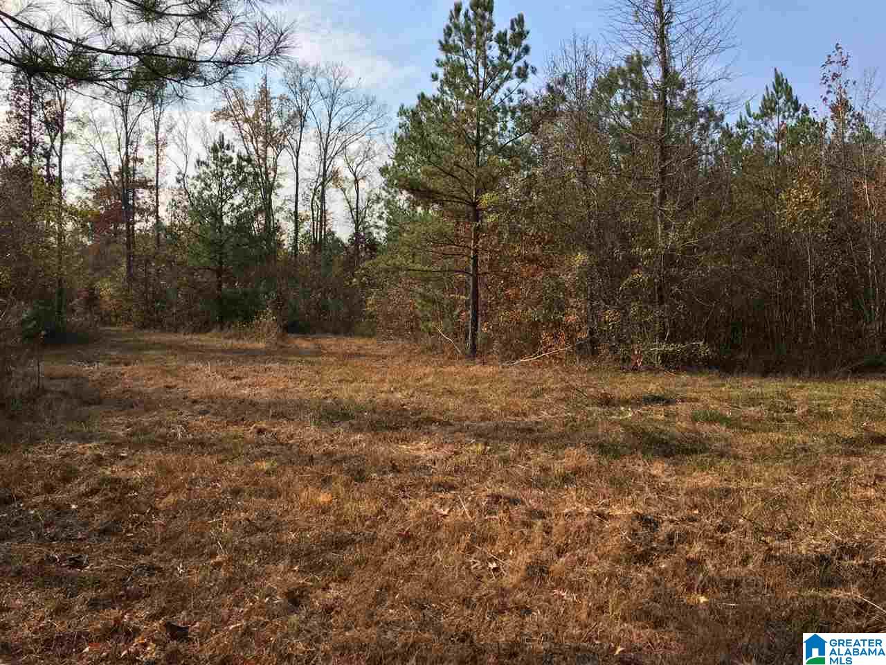 0 Wooden Trace Circle, Unit 30 Springville, AL 35146 - Photo 17 of 25