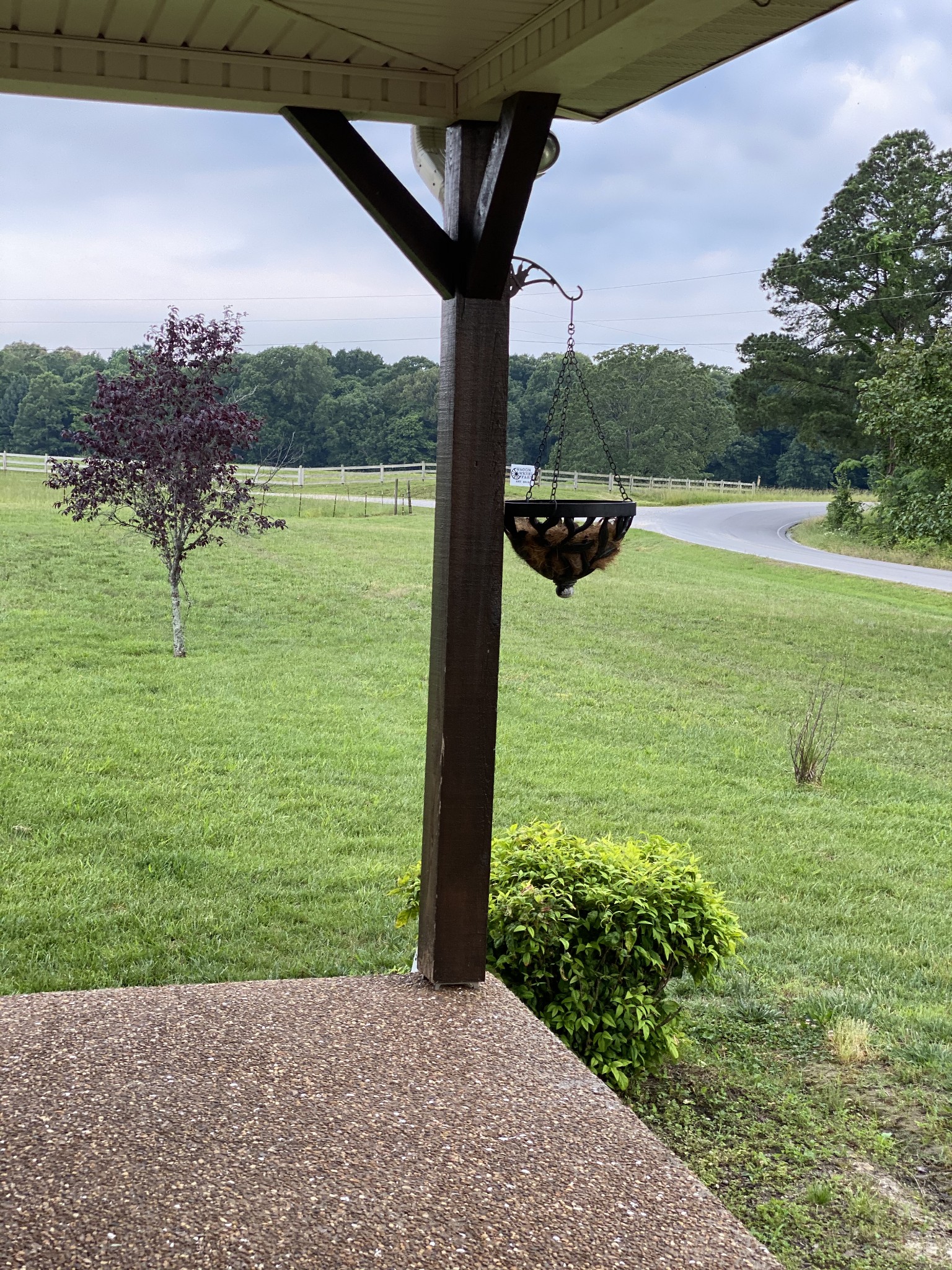 1971 Greenbriar Road Waverly, TN 37185 - Photo 8 of 39 a view of a backyard