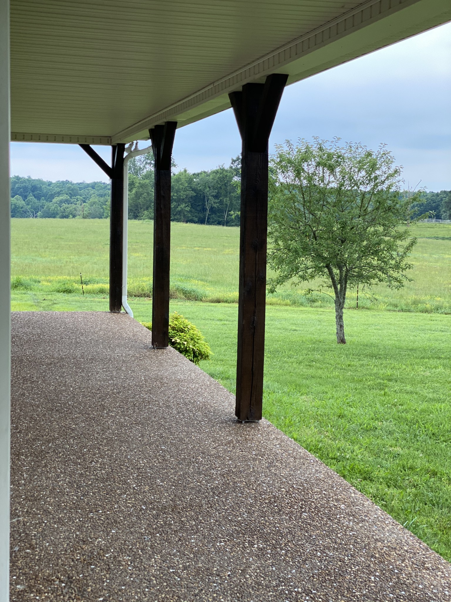 1971 Greenbriar Road Waverly, TN 37185 - Photo 10 of 39 a view of a garden with a tree