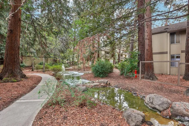 a backyard of a house with lots of green space