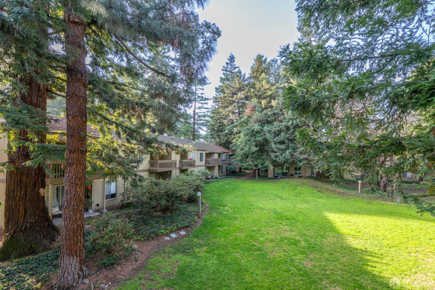 505 Cypress Point Drive, Unit 40 Mountain View, CA 94043 - Photo 30 of 34 a view of a trees in a yard with large trees