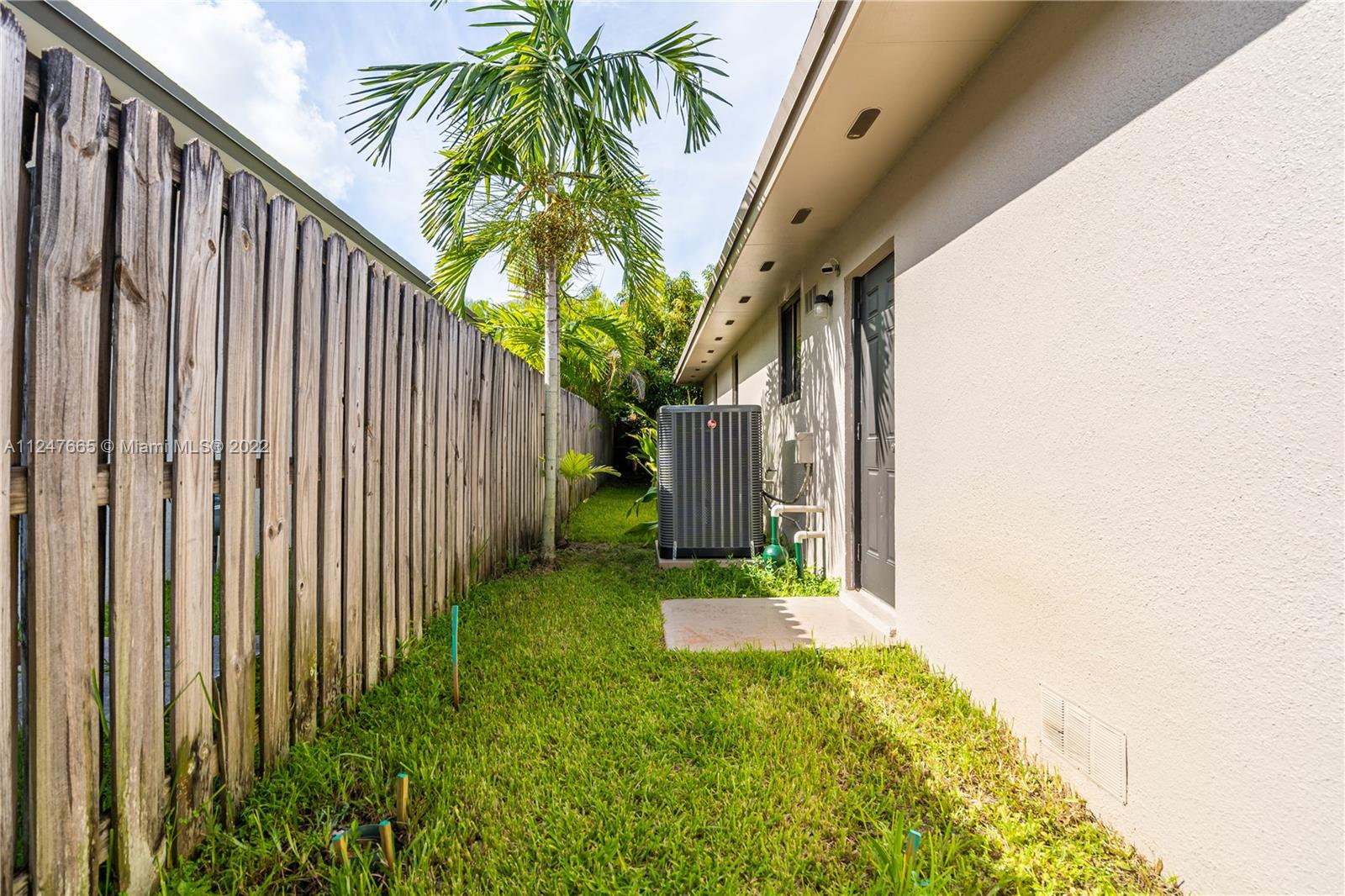 11809 Southwest 95th Street Miami, FL 33186 - Photo 24 of 25 a view of a back yard with yellow plants