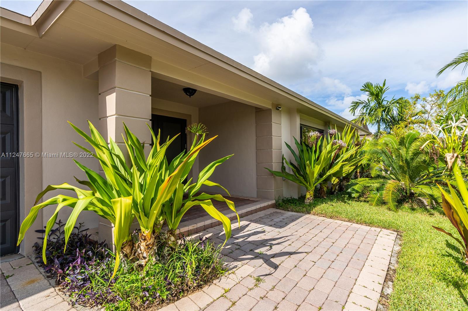 11809 Southwest 95th Street Miami, FL 33186 - Photo 4 of 25 a plant in front of a glass door