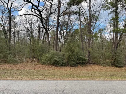 $9,900 | Tbd Fir Court, Oakhurst, TX 77359