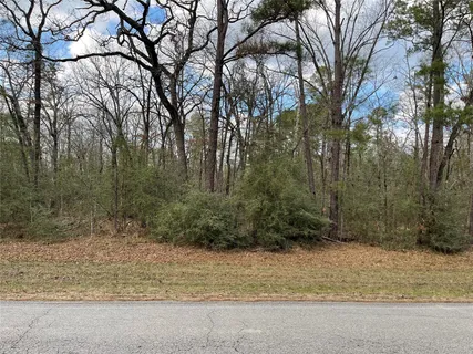 $9,900 | Tbd Fir Court, Oakhurst, TX 77359