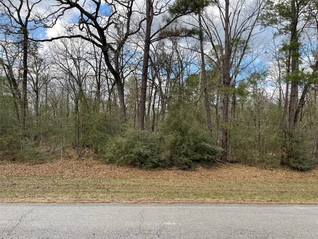 a view of a yard with trees