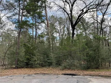 $9,900 | Tbd Fir Court, Oakhurst, TX 77359