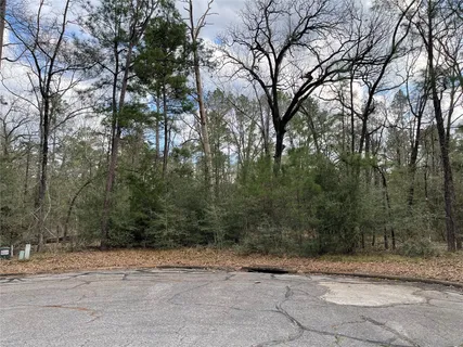 $9,900 | Tbd Fir Court, Oakhurst, TX 77359