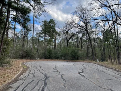 $9,900 | Tbd Fir Court, Oakhurst, TX 77359
