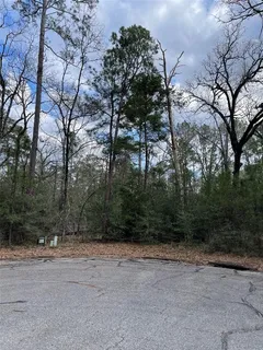 $9,900 | Tbd Fir Court, Oakhurst, TX 77359