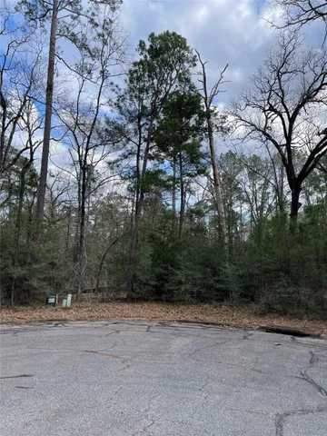 a view of a yard with plants and trees