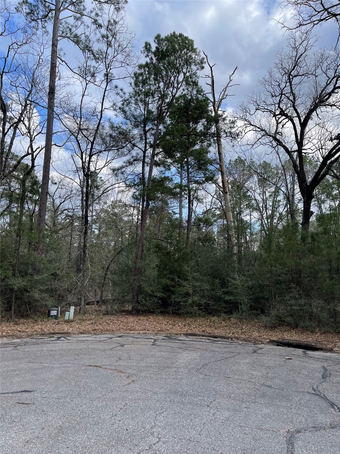Tbd Fir Court Oakhurst, TX 77359 - Photo 6 of 11 a view of a yard with plants and trees