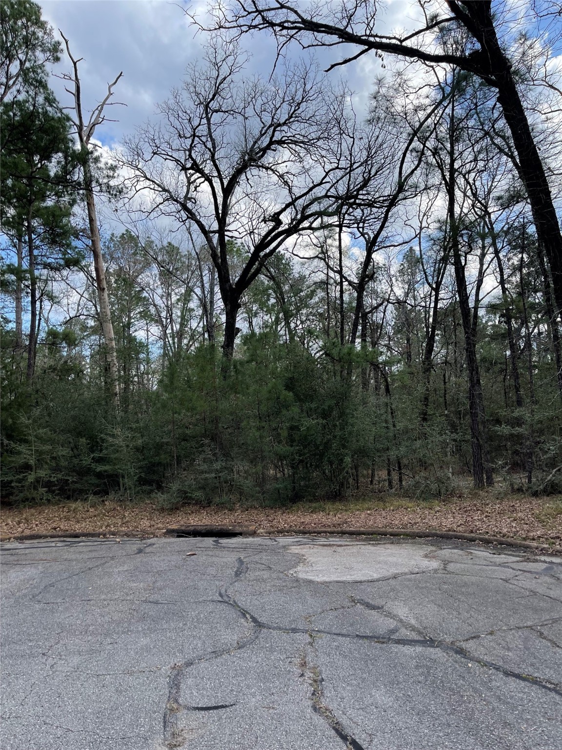 Tbd Fir Court Oakhurst, TX 77359 - Photo 7 of 11 a view of backyard with green space