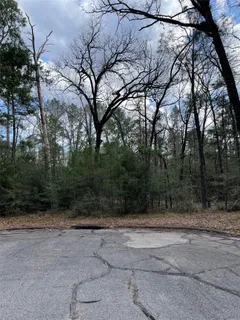 $9,900 | Tbd Fir Court, Oakhurst, TX 77359
