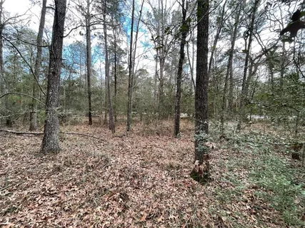 $9,900 | Tbd Fir Court, Oakhurst, TX 77359