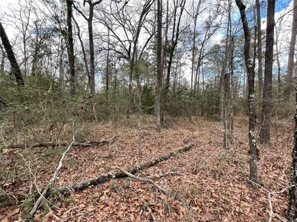 $9,900 | Tbd Fir Court, Oakhurst, TX 77359