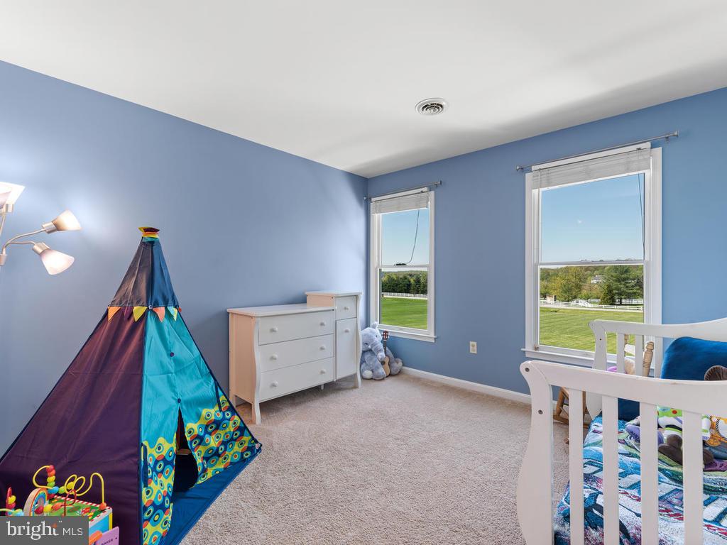 5915 Cabbage Spring Road Mount Airy, MD 21771 - Photo 39 of 68 3rd Bedroom