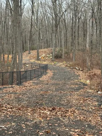 a view of a yard with large trees