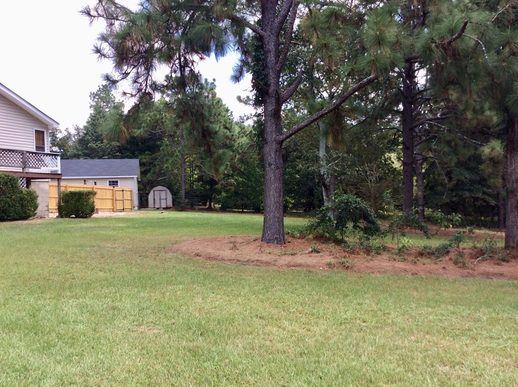 349 Blanchard Road North Augusta, SC 29841 - Photo 17 of 18