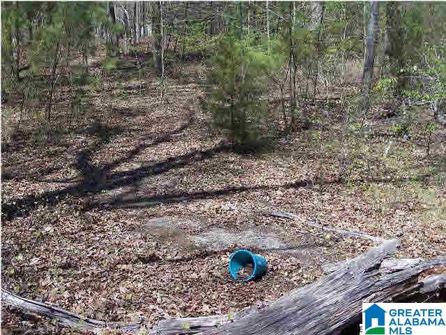 0 Homestead Lane Remlap, AL 35133 - Photo 17 of 23