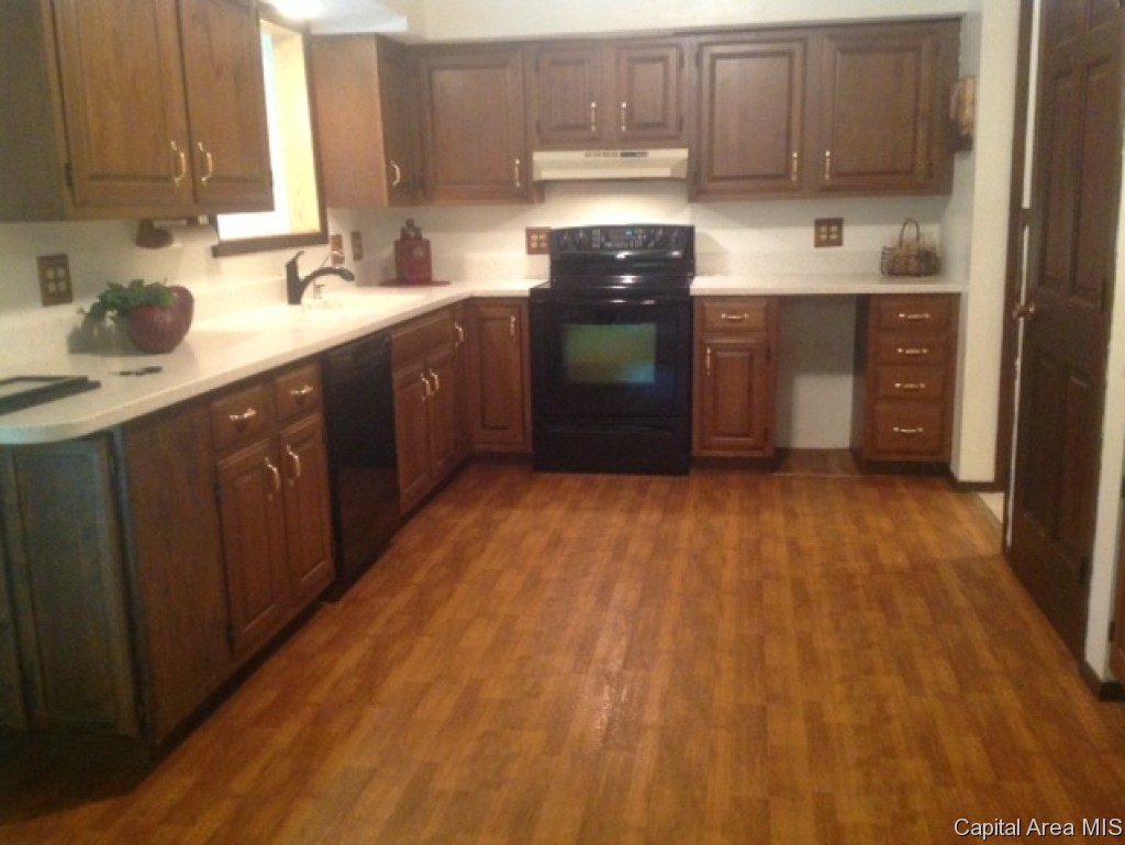 113 Goldenrod Lane Springfield, IL 62707 - Photo 3 of 20 Gallery Image 3